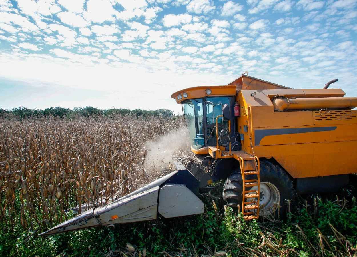 Produção de grãos pode crescer 1,4% na safra 2026/27