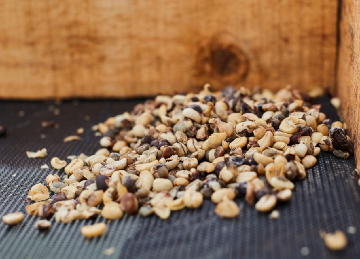 Ministério da Agricultura desclassifica 23 lotes após análises dos Laboratórios Federais de Defesa Agropecuária