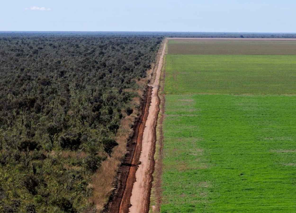 Regularização de imóveis rurais em faixa de fronteira é prorrogada