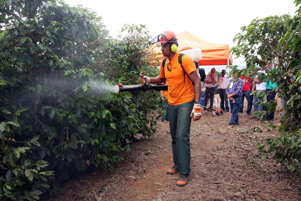 Expocafé apresenta inovações para a cafeicultura em simpósio, minicursos e dinâmicas de campo