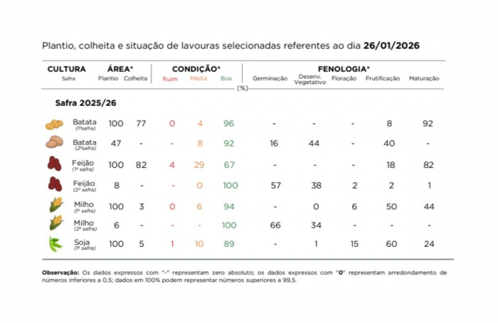 PR Safra 2025/26: perspectivas para o milho seguem positivas