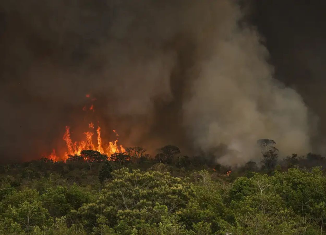 Clima mais úmido favorece a redução de queimadas no Brasil