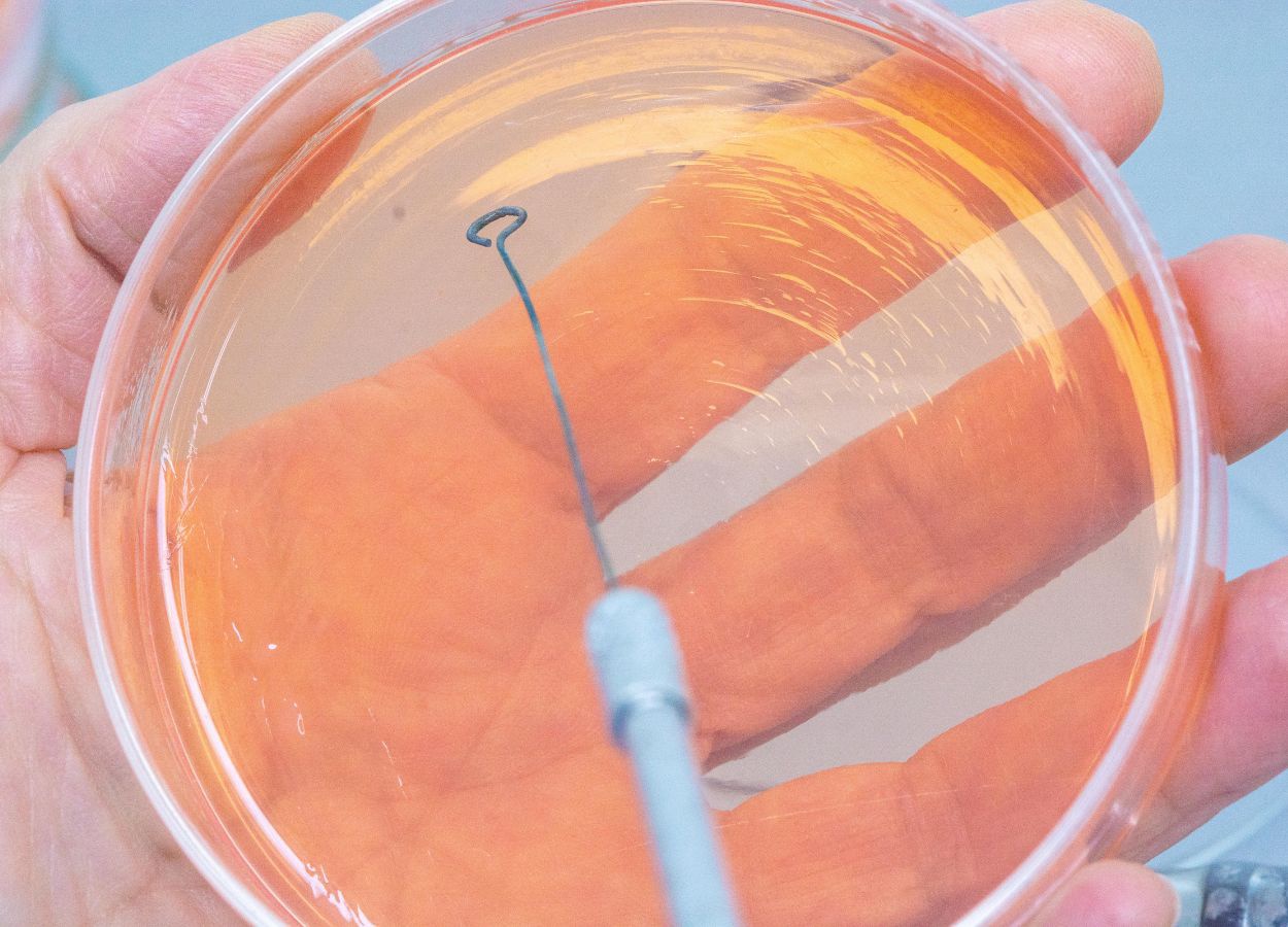 Evento reunirá pesquisadores, indústria e órgãos de fiscalização para discutir tecnologias com inoculantes e biológicos