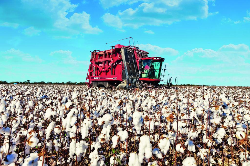Sistemas de colheita de algodão