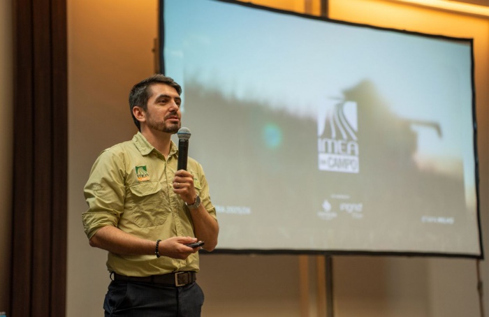 Imea projeta safra recorde de milho com 57 milhões de toneladas