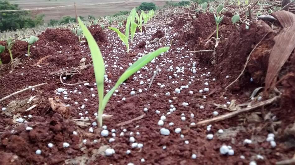 Benefícios da aplicação de sulfato de cálcio no solo