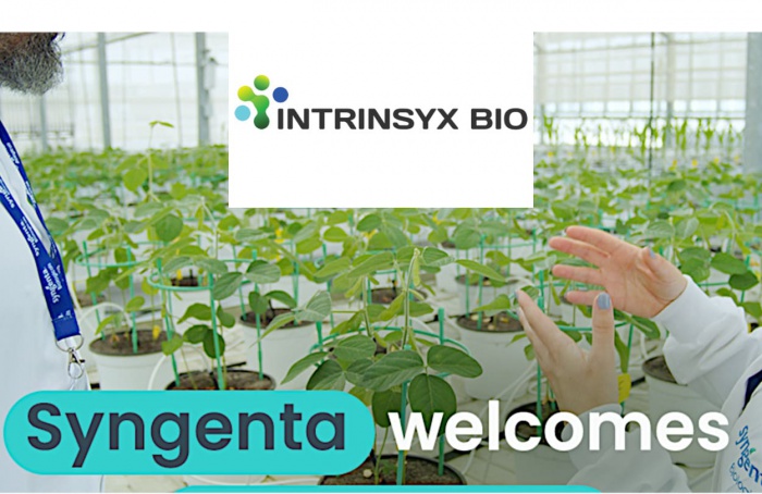 Syngenta compra Intrinsyx Bio e amplia atuação em biológicos