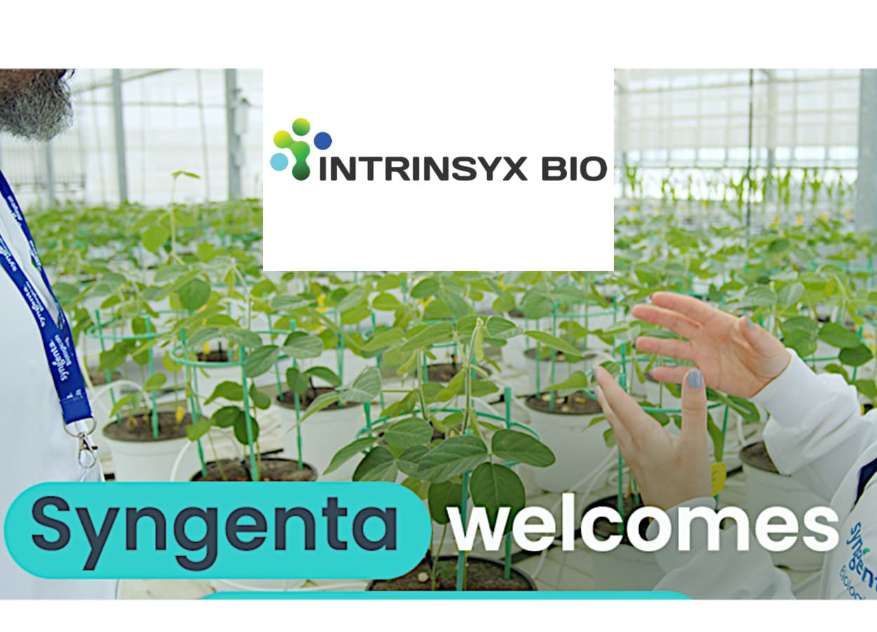 Syngenta compra Intrinsyx Bio e amplia atuação em biológicos