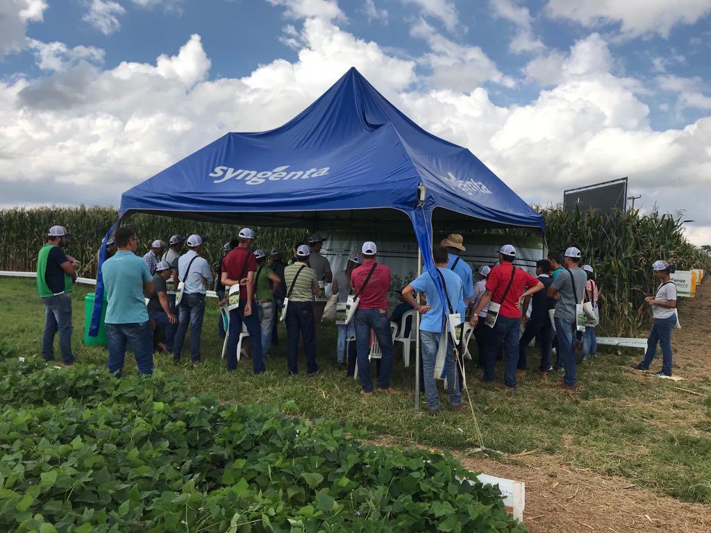 Syngenta apresenta tecnologia para aumentar a produtividade sustentável de feijocultores e milhocultores