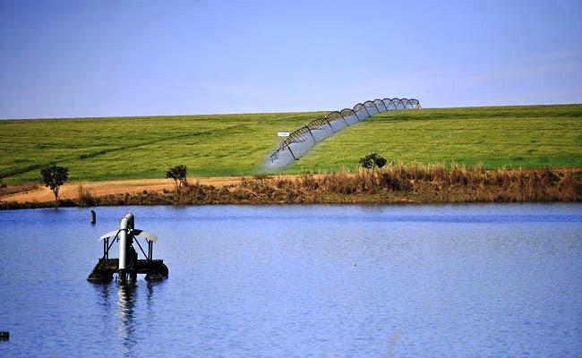 Especialistas em irrigação falam sobre o futuro da agricultura irrigada