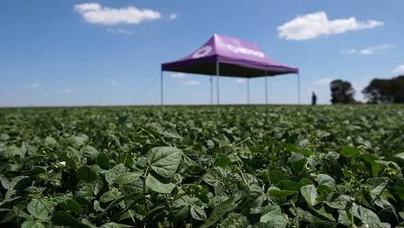 Mercado de biológicos pede passagem no agronegócio
