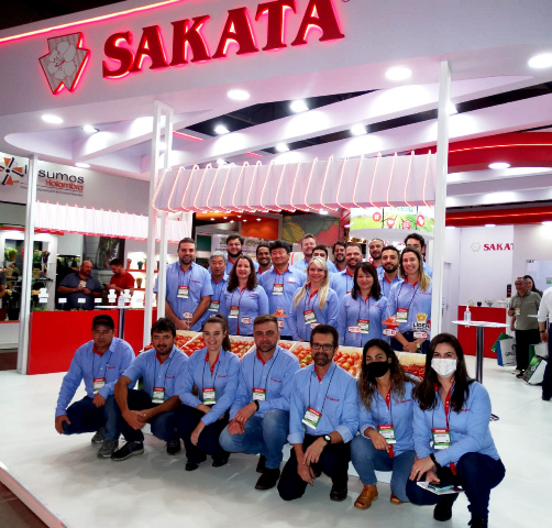 Sakata lança produtos para alavancar a rentabilidade do produtor