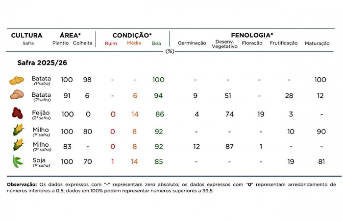 PR Safra 2025/26: milho safrinha ganha área