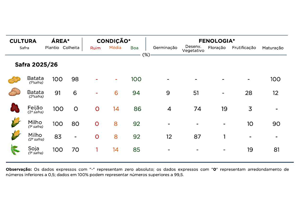 PR Safra 2025/26: milho safrinha ganha área