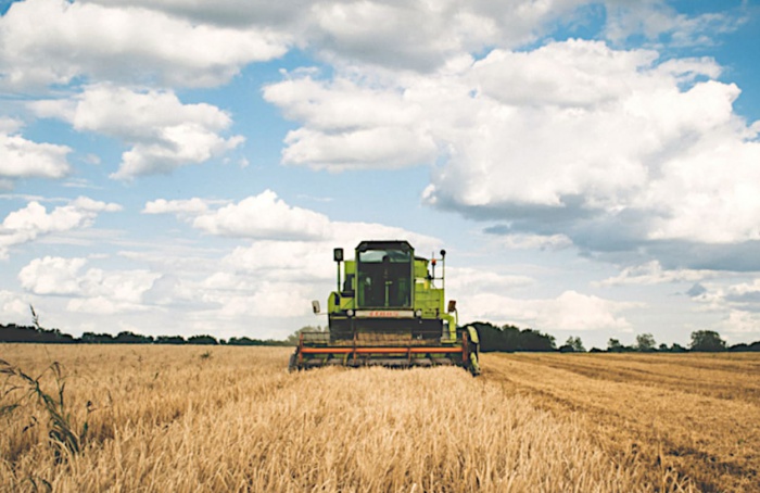 Ministério da Agricultura libera R$ 360 milhões para seguro rural