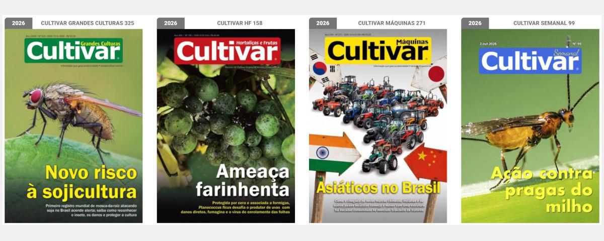 Capas - 2025