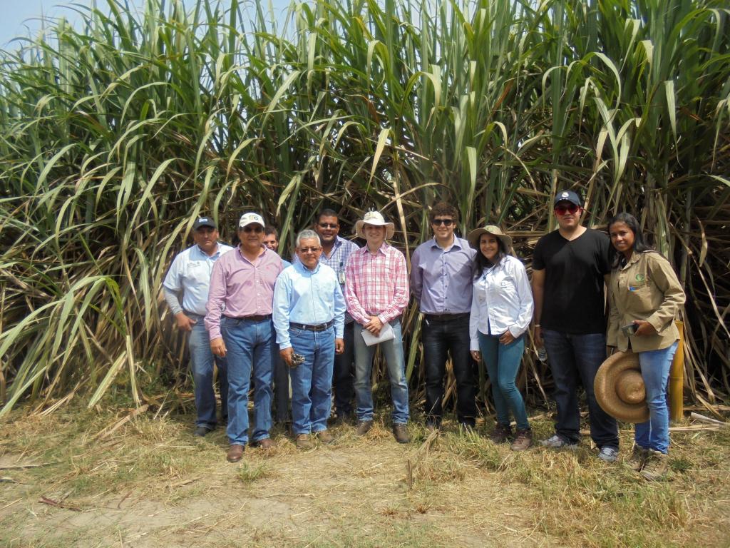 ​Brasil e Colômbia fecham acordo para troca de variedades de cana