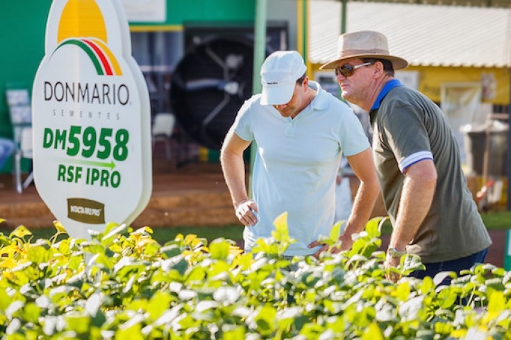 DM 5958 RSF IPRO surpreende produtores da Região Sul