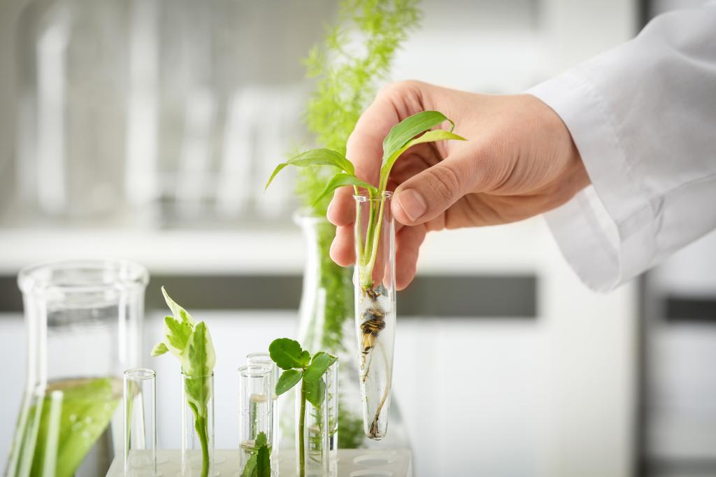 Desenvolvimento de fertilizantes exige tecnologia e alto investimento