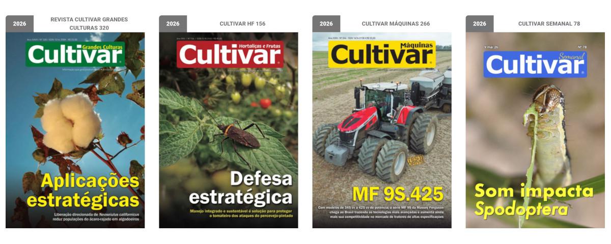 Capas - 2025