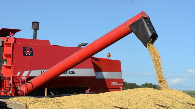 Principais grãos cultivados em Santa Catarina têm redução no preço
