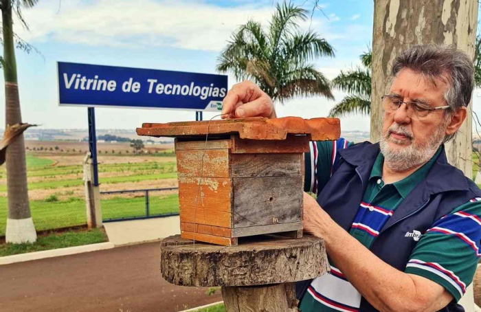 Integração de abelhas em lavouras de soja pode impulsionar a produtividade