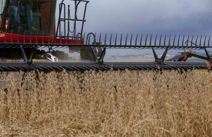 Paraná lidera crescimento da safra de grãos em 2025