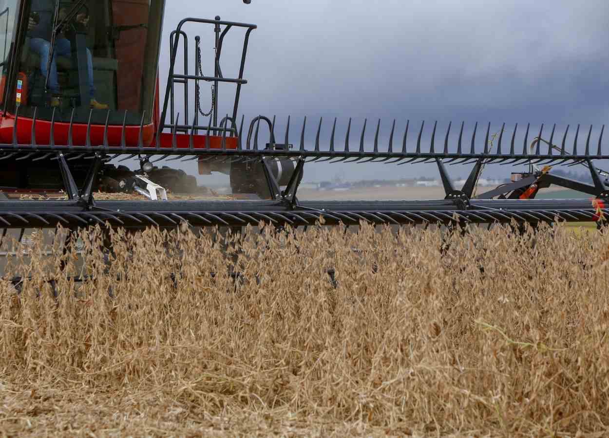 Le Paraná est en tête de la croissance de la récolte de céréales en 2025