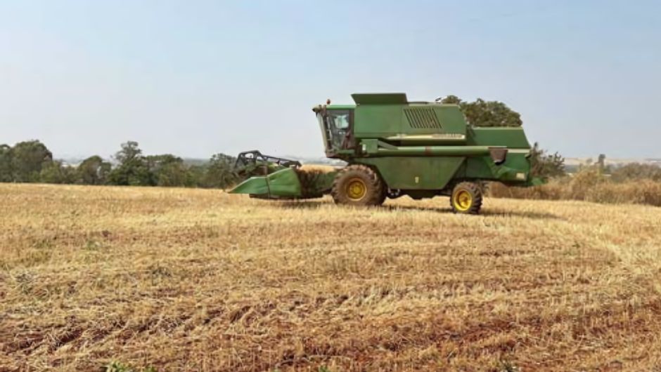 Colheita de trigo em São Jerônimo da Serra; foto: Paulo Mileo