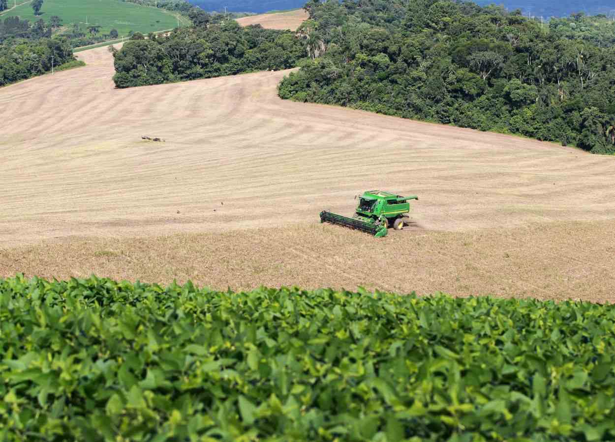 VBP da agropecuária do Paraná dobra em seis anos