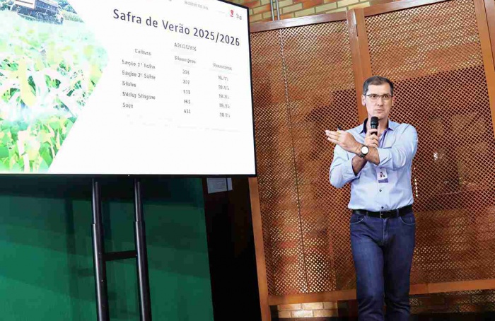 Emater/RS corta em 7,1% a projeção da safra de verão no RS
