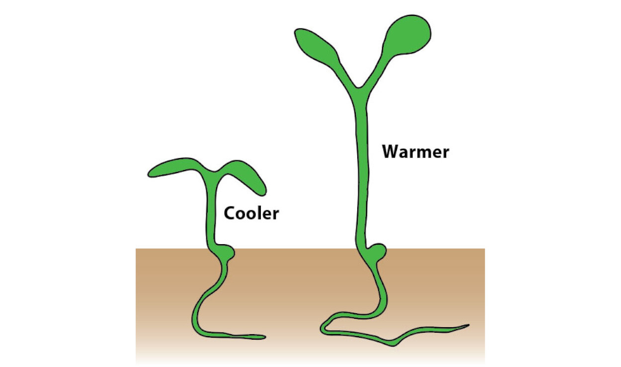 Imagem:&nbsp;Salk Institute