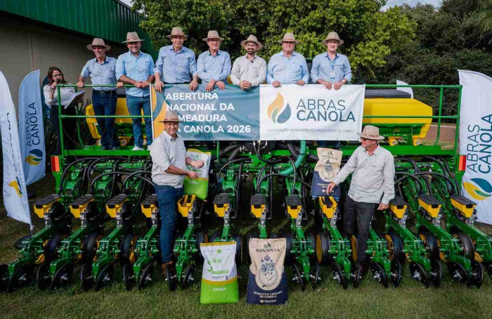 Canola amplia espaço na renda de inverno em 2026