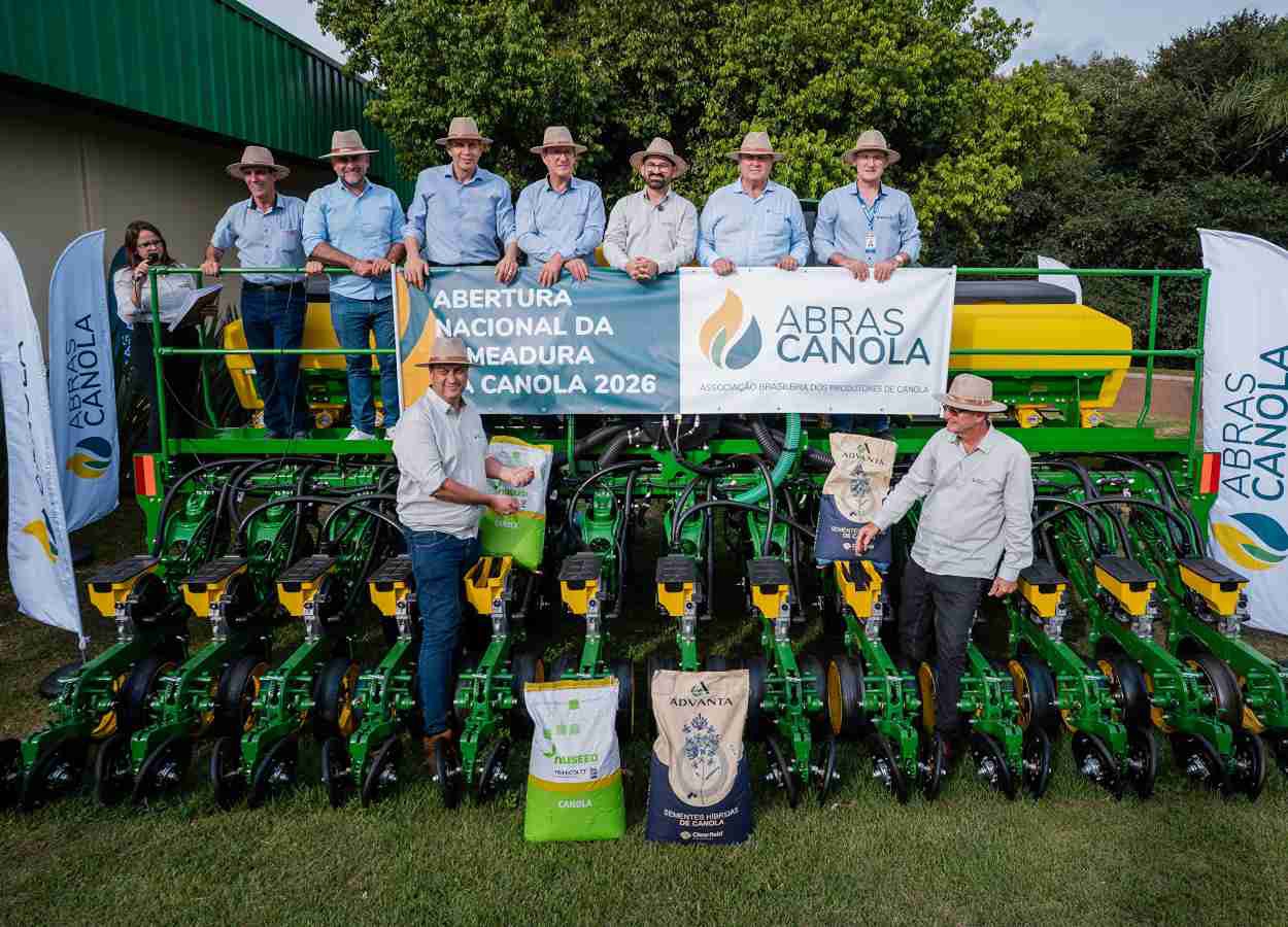 Canola amplia espaço na renda de inverno em 2026
