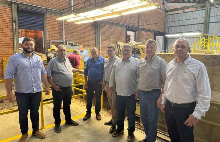 Safra de tabaco expõe desafios na comercialização