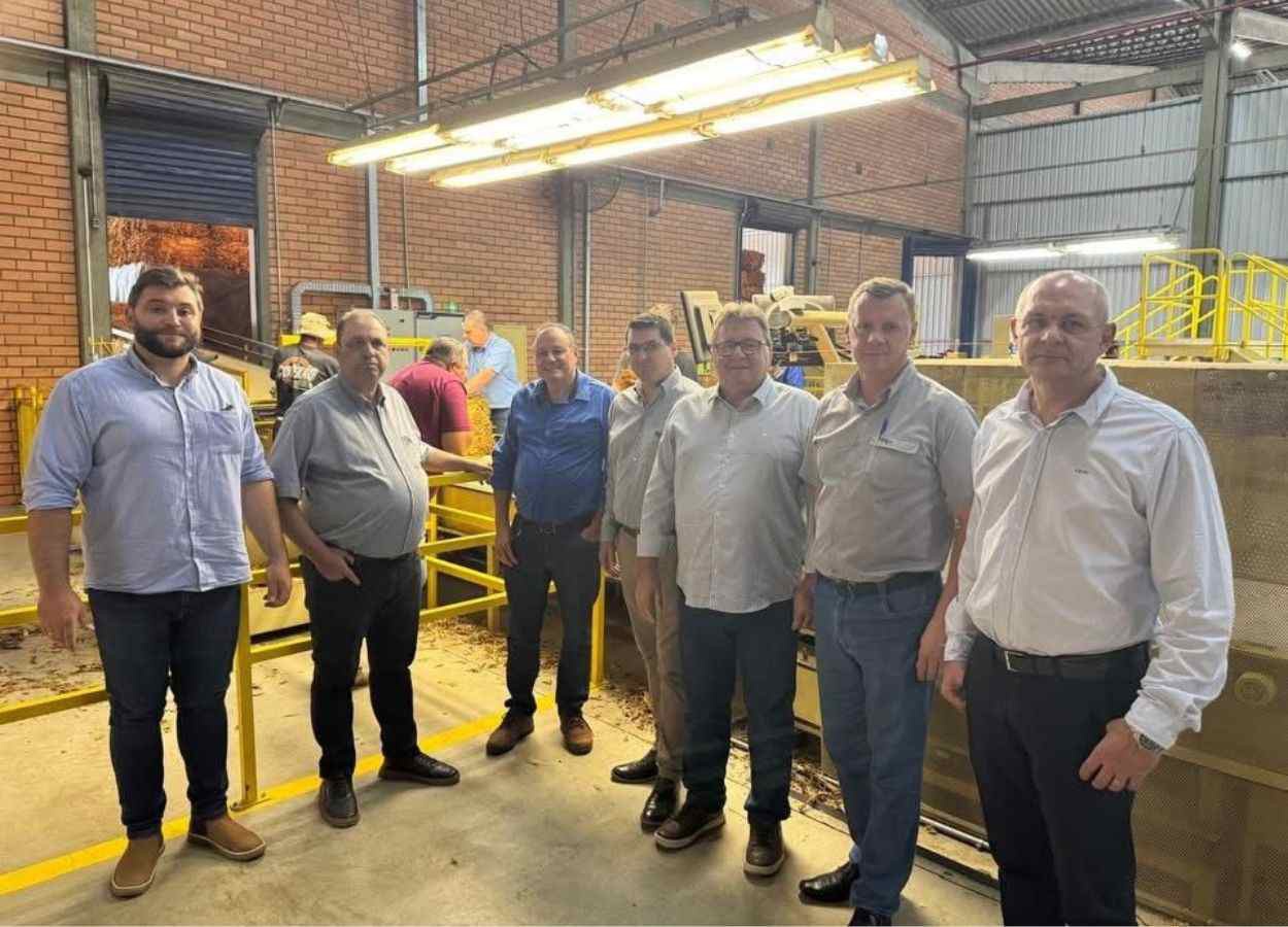 Safra de tabaco expõe desafios na comercialização