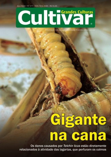 Cultivar Grandes Culturas 319