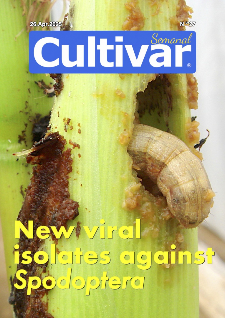 Cultivar Semanal 27
