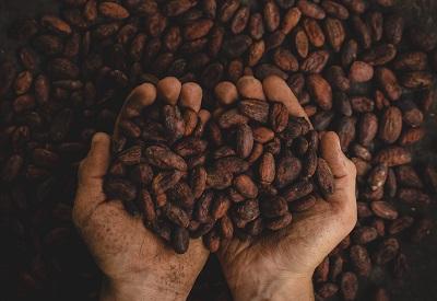 Especialistas apostam em cenário favorável para café no pós-Covid