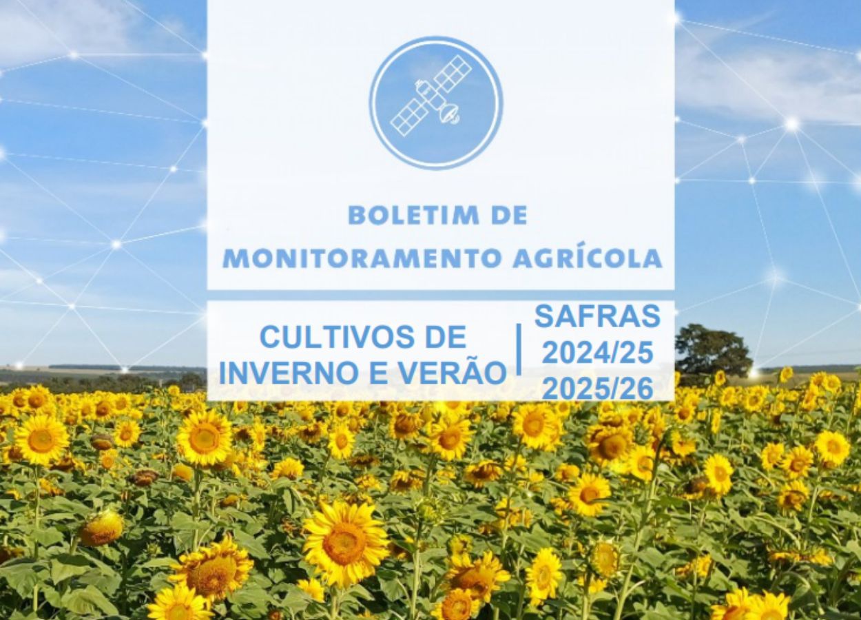 Chuvas favorecem lavouras de primeira safra em dezembro