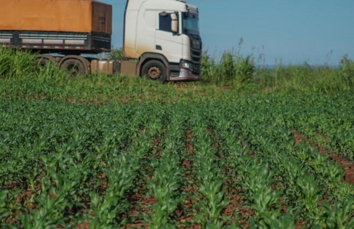 Infraestrutura logística desafia agro de Mato Grosso do Sul