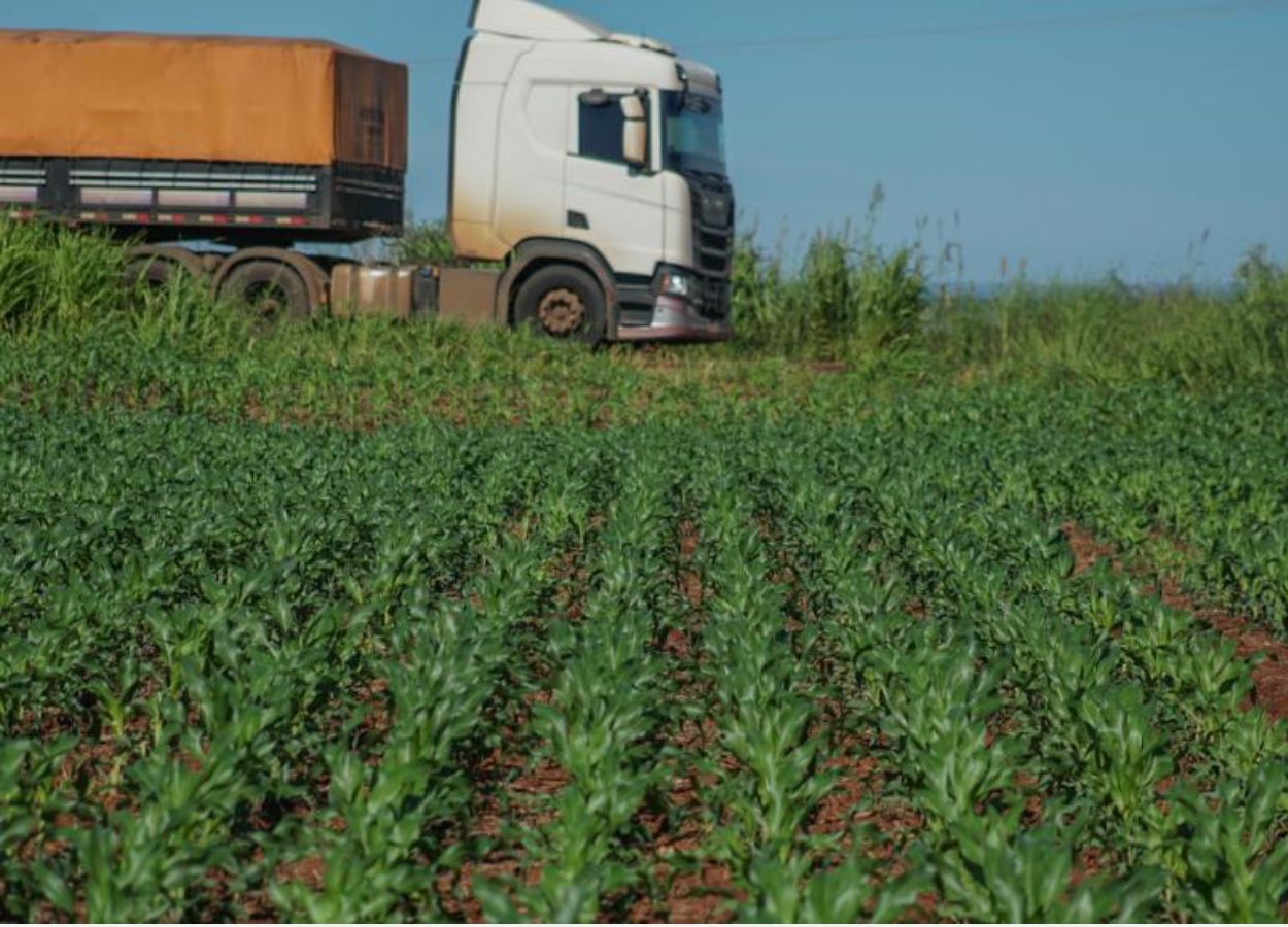 Infraestrutura logística desafia agro de Mato Grosso do Sul