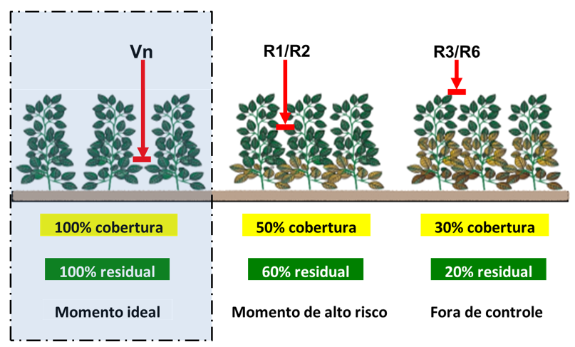 Figura 5 – Efeitos do posicionamento de fungicidas em diferentes estádios da planta de soja.