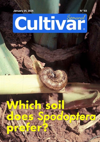 Cultivar Semanal (wöchentlich) 63