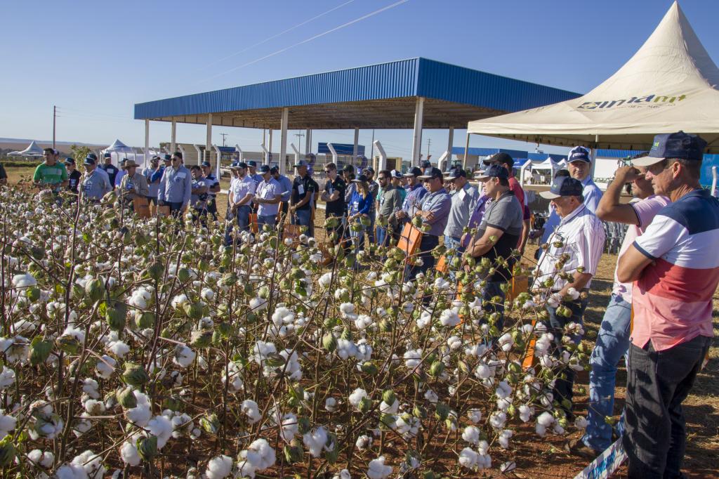 Inovação tecnológica marca Dia de Campo do Algodão em Campo Verde (MT)