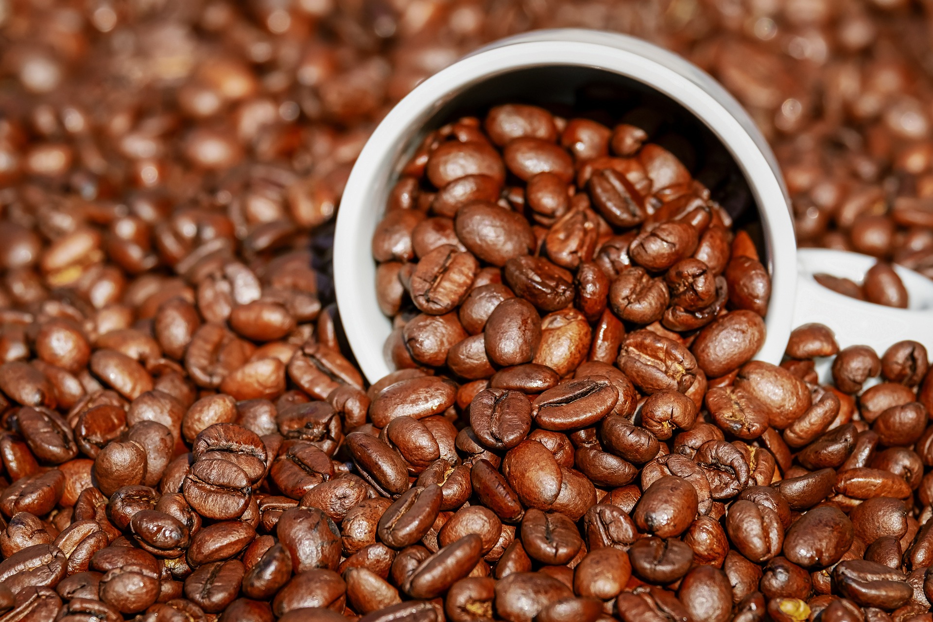 Brasil é o maior produtor mundial e o segundo maior consumidor de café