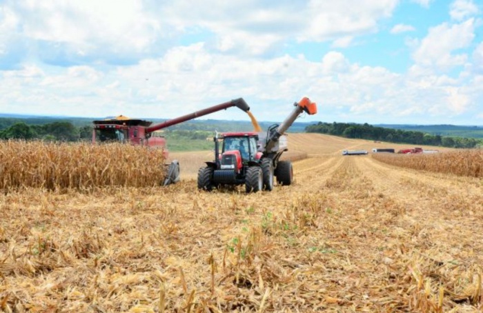 Agro catarinense fecha 2024 com faturamento de R$ 63,7 bilhões