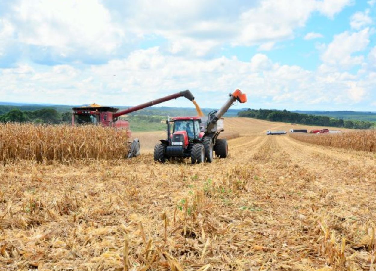 Agro catarinense fecha 2024 com faturamento de R$ 63,7 bilhões