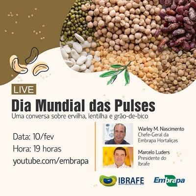 Pulses são tema de live que abordará o cenário de produção e consumo das leguminosas no Brasil