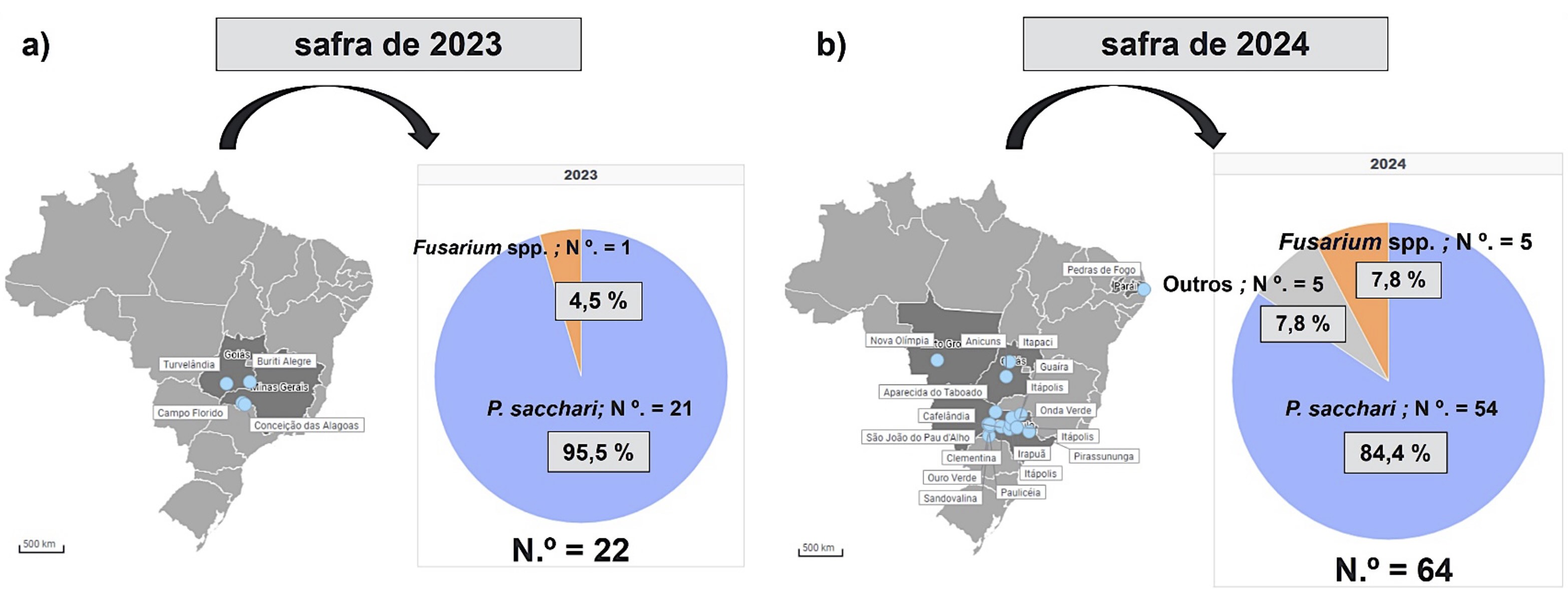 <b>Figura 2 - a)</b> Na safra de 2023 foram obtidos 22 isolados de amostras com sintomas SMC oriundas dos estados de Minas Gerais e Goiás e <b>b)</b> na safra de 2024 foram obtidos 64 isolados de amostras oriundas dos estados de São Paulo, Mato Grosso do Sul, Mato Grosso, Goiás e Paraíba. N= número de isolados